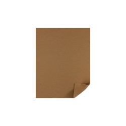 FOMI LISO CARTA CAFE CAMELLO