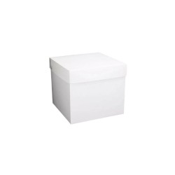 CAJA CUBO 22 CM