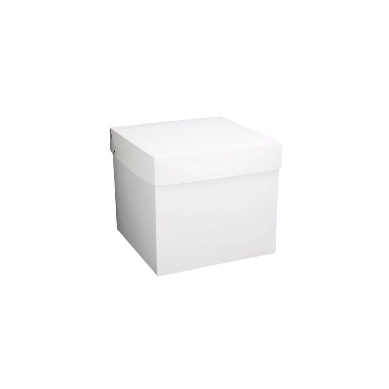 CAJA CUBO 22 CM