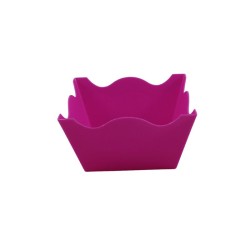 JARDINERA FUCSIA