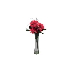 CLAVEL CORAL X7