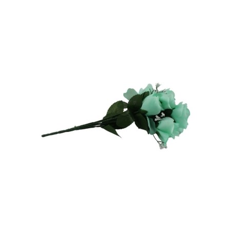 ROSAL BOTÓN AQUA X7