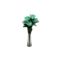 ROSAL BOTÓN AQUA X7