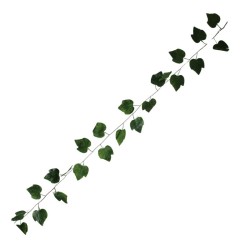 GUÍA VERDE HOJAS DE PARRA 2.5MTS