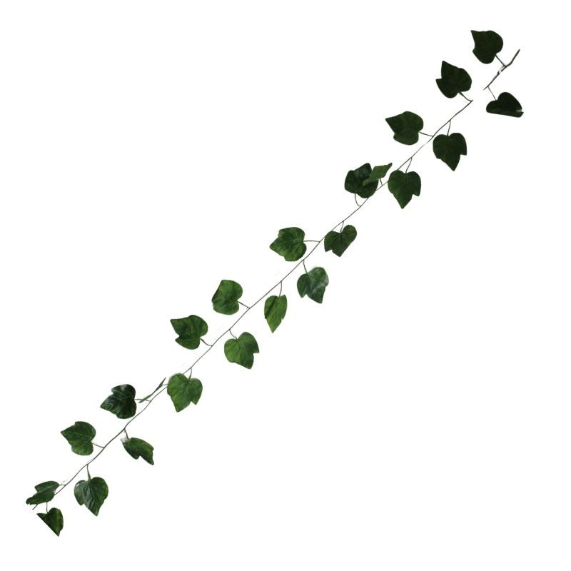 GUÍA VERDE HOJAS DE PARRA 2.5MTS
