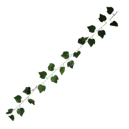 GUÍA VERDE HOJAS DE PARRA 2.5MTS