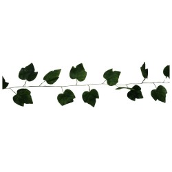 GUÍA VERDE HOJAS DE PARRA 2.5MTS