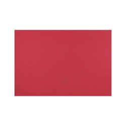 FOMI LISO ROJO