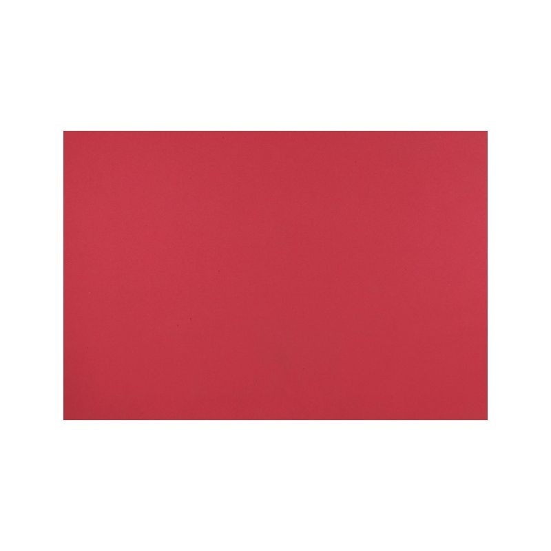 FOMI LISO ROJO