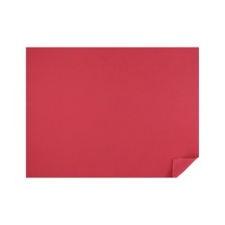 FOMI LISO ROJO