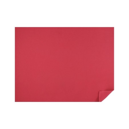 FOMI LISO ROJO