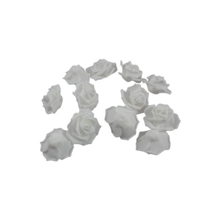 ROSAL DE FOMI BLANCO