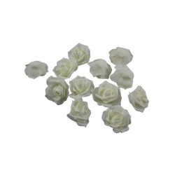 ROSAL DE FOMI IVORY