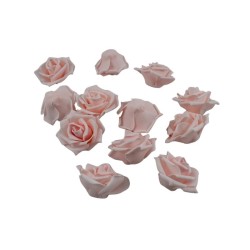 ROSAL DE FOMI ROSA