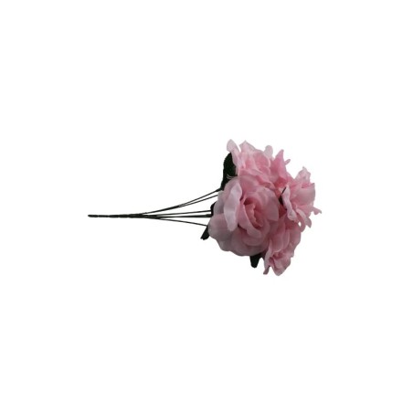 ROSAL ABIERTO ROSA X7