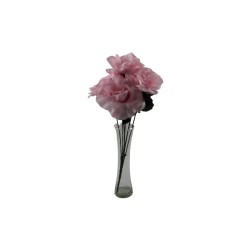 ROSAL ABIERTO ROSA X7