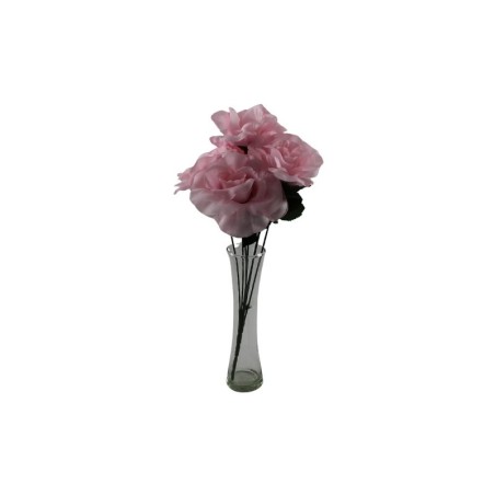 ROSAL ABIERTO ROSA X7