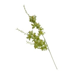 ORQÍIDEA TALLO LARGO