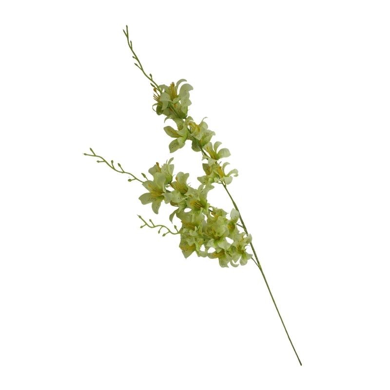 ORQÍIDEA TALLO LARGO