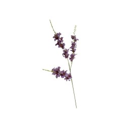 ORQÍIDEA TALLO LARGO