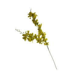 ORQÍIDEA TALLO LARGO