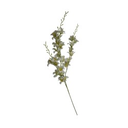 ORQÍIDEA TALLO LARGO