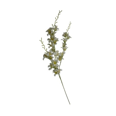 ORQÍIDEA TALLO LARGO
