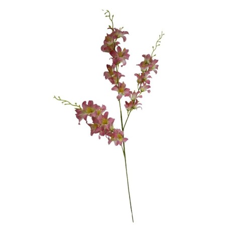 ORQÍIDEA TALLO LARGO