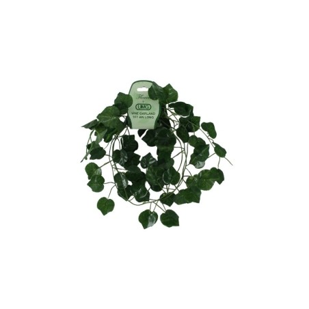 GUÍA VERDE 2.20MTS