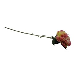 PEONIA TALLO LARGO