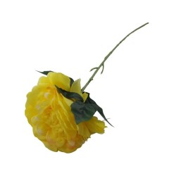 PEONIA TALLO LARGO