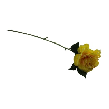 PEONIA TALLO LARGO