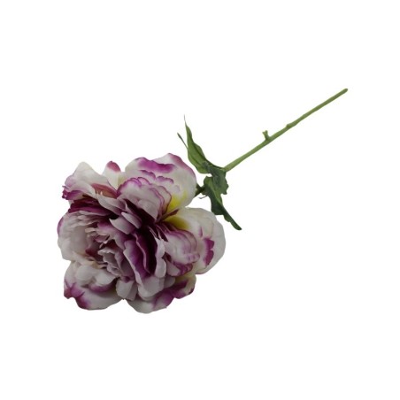 PEONIA TALLO LARGO
