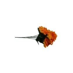 ROSAL ABIERTO NARANJA X7