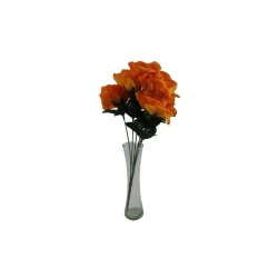 ROSAL ABIERTO NARANJA X7