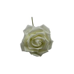 ROSAL DE FOMI BEIGE 6