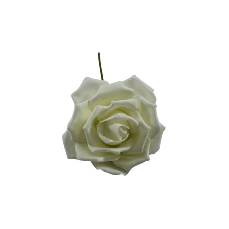 ROSAL DE FOMI BEIGE 6