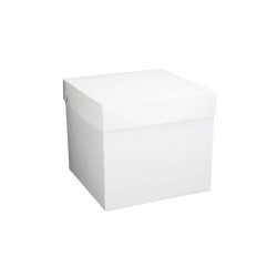 CAJA CUBO 30 CM