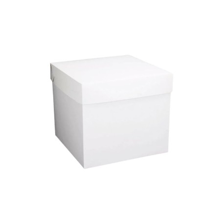 CAJA CUBO 30 CM