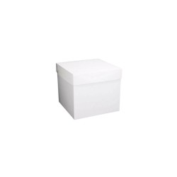 CAJA CUBO 15 CM