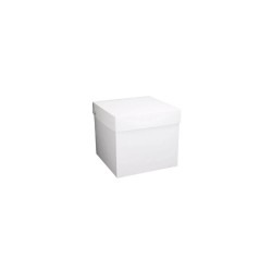 CAJA CUBO 10 CM
