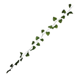 GUIA VERDE 2 MTS HOJAS D/PARRA CHICAS