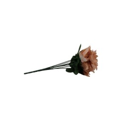 ROSAL MINI BLUSH X7