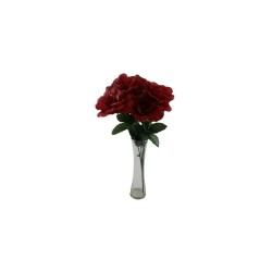 ROSAL ABIERTO ROJO X7