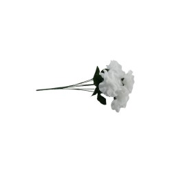 ROSAL ABIERTO BLANCO CON GYPSO X7