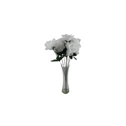 ROSAL ABIERTO BLANCO CON GYPSO X7