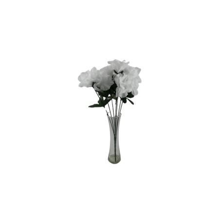 ROSAL ABIERTO BLANCO CON GYPSO X7