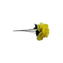 ROSAL ABIERTO AMARILLO X7