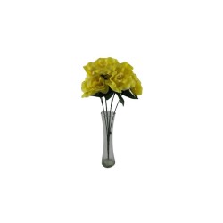 ROSAL ABIERTO AMARILLO X7
