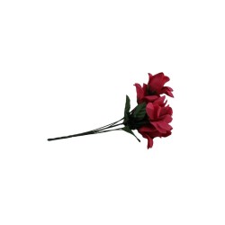 ROSAL ABIERTO FUCSIA CON GYPSO X6